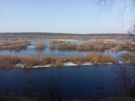 Из личных фотографий: 2  марта  2024, под Борисовом (Белоруссия)
 До свидания Зима...