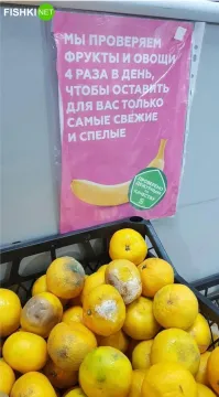 Подозреваю, что фото сделано прямо перед очередной «проверкой»