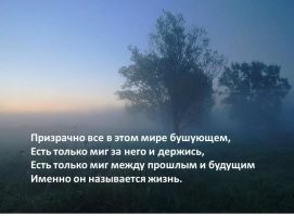 Скрины из соцсетей