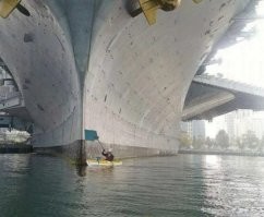 Скрины из соцсетей