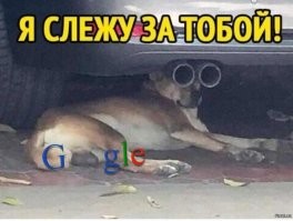 Продолжаем барражировать соцсети