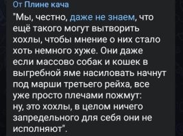 В Великобритании русскую девушку уволили за то, что на выборах президента она проголосовала за Путина