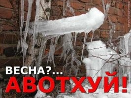 24. Природа - тот ещё скульптор.