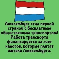 три автобусных маршрута всего за 50% налог? достойно..