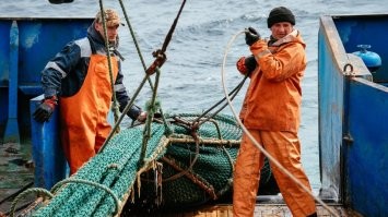 Рыбаки на фото ниже, а на видео рыболовы