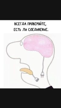 За циничные посты о теракте создатель мебельного ателье получил 14 суток ареста и стал фигурантом уголовного дела