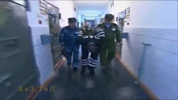 Всё эдентично, только представители фауны разные...