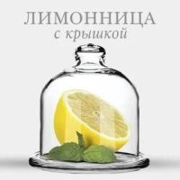 Гробик для лимона