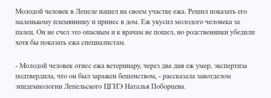 Британка нашла больного ёжика, но ветеринары подсказали ей, что ежом там и не пахло