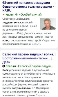 Да и пенсионер там, китайский, совсем не мастер кунг-фу.