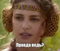 Собачки только игрались