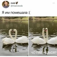 Не ищите здесь смысл. Здесь в основном маразм