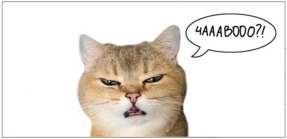 Правда ли, что кошки могут осуждать людей?