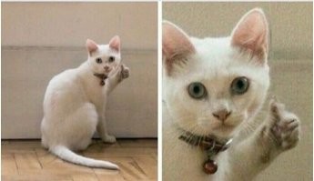 Молодец парень!!!