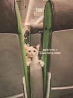 И взрыв мимиметра уничтожил самолёт...