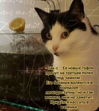 Не ищите здесь смысл. Здесь в основном маразм