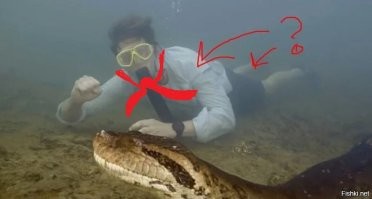 Самая большая в мире змея убита охотниками в тропических лесах Амазонки