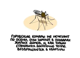А где вы видели, чтобы кровопийцы куда-то уезжали?
 Они всегда пережидают в тёплом месте любые катаклизмы.