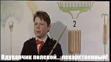 Не ищите здесь смысл. Здесь в основном маразм