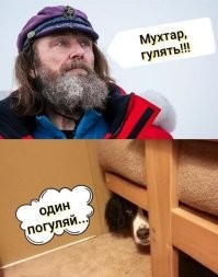 Мемы из соцсетей. Свежак за 28 марта