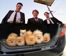 Зависть — дело наживное