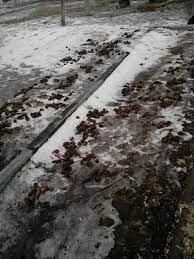 Некоторые изобретения неприменимы у нас..