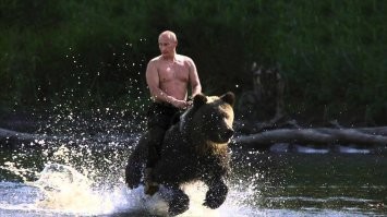 С какой скоростью бегает медведь. Догонит ли человека? А велосипедиста?