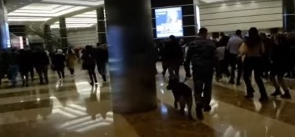 Заметил на одном из роликов, снятых во время теракта в «Крокусе», где убегают испуганные люди, мужчина в форме со служебной собакой тоже уходит. Пишут, это был сотрудник ЧОП. Кто знает, какие задачи ставятся перед кинологами во время массовых мероприятий? Почему он уходит, когда у него появились реальные шансы выявить и противодействовать?