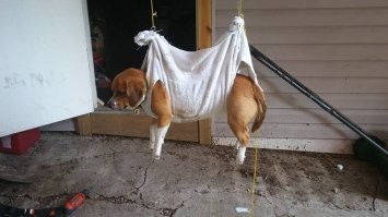 Сложно, грязно, липко и дорого. 
Кусок тряпки решит проблему