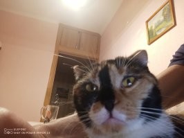 Пиво не пьет,а вот за сухарики аж дерётся!