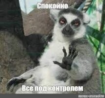 всё в порядке! на этикетке написано что оригинал!