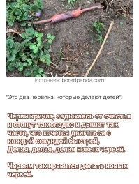 "Для чего эта штука?": 30 раз, когда пользователи сети прояснили ситуацию