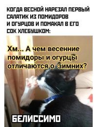 Мемы из соцсетей. Свежак за 29 марта