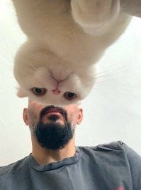 15 фотографий, на которые надо взглянуть дважды, чтобы понять, что происходит