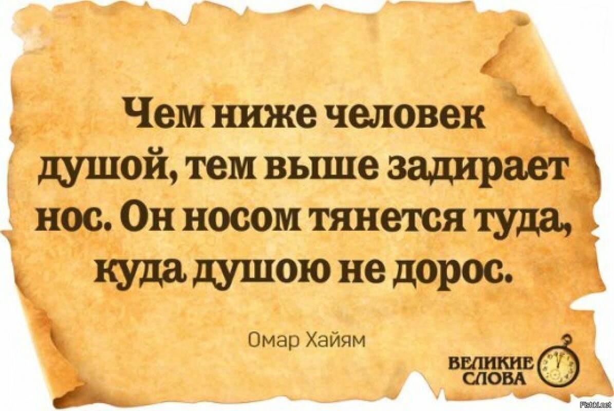 Спорить Мудрые цитаты. Афоризмы про дураков. Никогда не спорьте с дураками. Спорить цитаты.