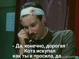 Понимают ли кошки, что человеку как-то нехорошо