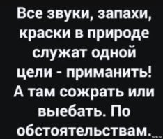 Радары запредельной мощности на голове жука. Какую информацию собирает это насекомое?