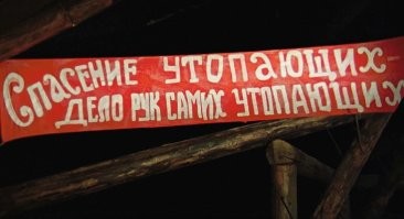 Уличный кот взял всё в свои лапки и практически самостоятельно выбрался из трудной ситуации