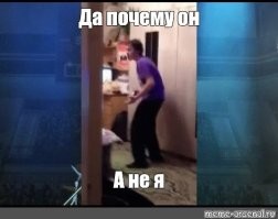 Тигр, который не удержался