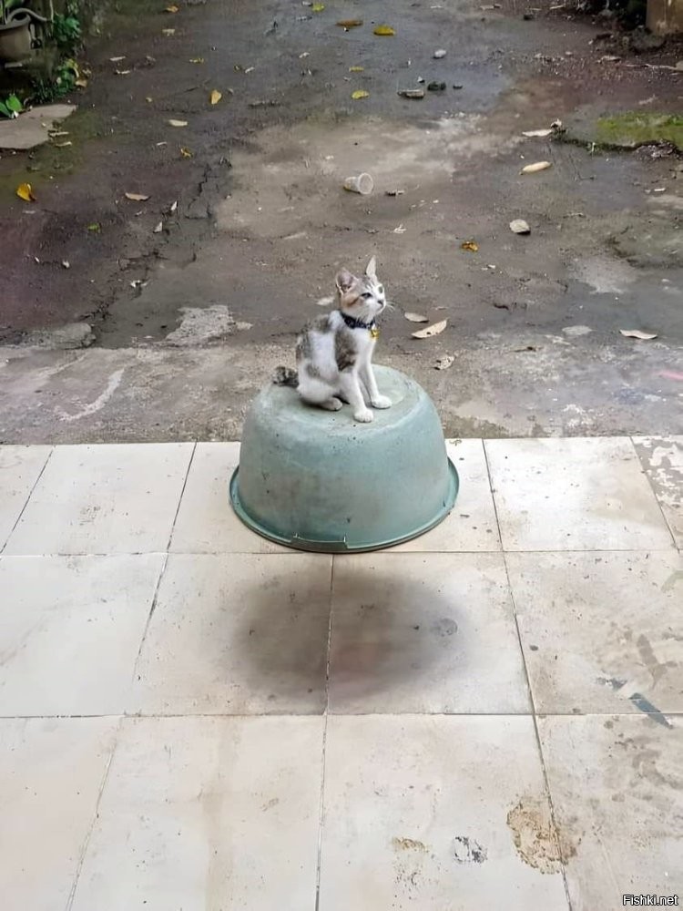 Вот именно.
