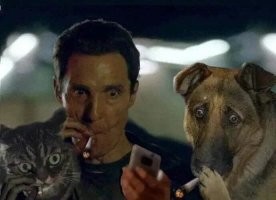 Лезвие отлетело от пилорамы и чудом не распилило клиента магазина