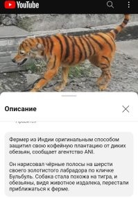 &nbsp;Намешалось&nbsp;
