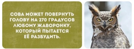 Мемы из соцсетей. Свежак за 2 апреля