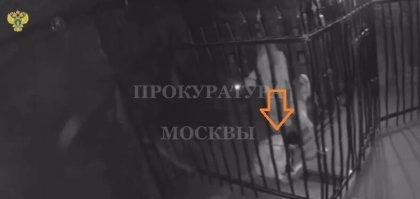 Что это, Уэнздей спешит на помощь?)
