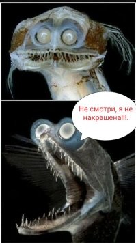 Мир не без жутких вещей: 14 случаев, когда нечто пугало людей до чёртиков
