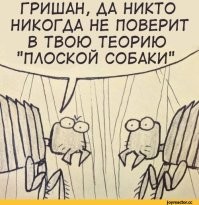 "Самолёты летают по карте плоской Земли": Юрий Лоза привёл очередные доказательства в защиту популярной теории