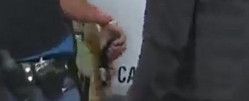 Не понятно что за пистоль.