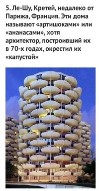 Если учесть, что это брюссельская капуста, то всё становится на места.