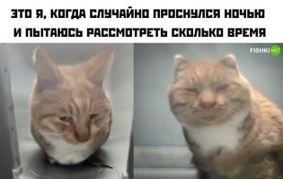 ВРЕ МЕ НИ.
Спустись "С" ПТУ, выедешь "С" Москвы и возьми наконец-то учебник Русского языка в руки.