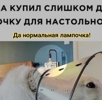 Мемы из соцсетей. Свежак за 3 апреля